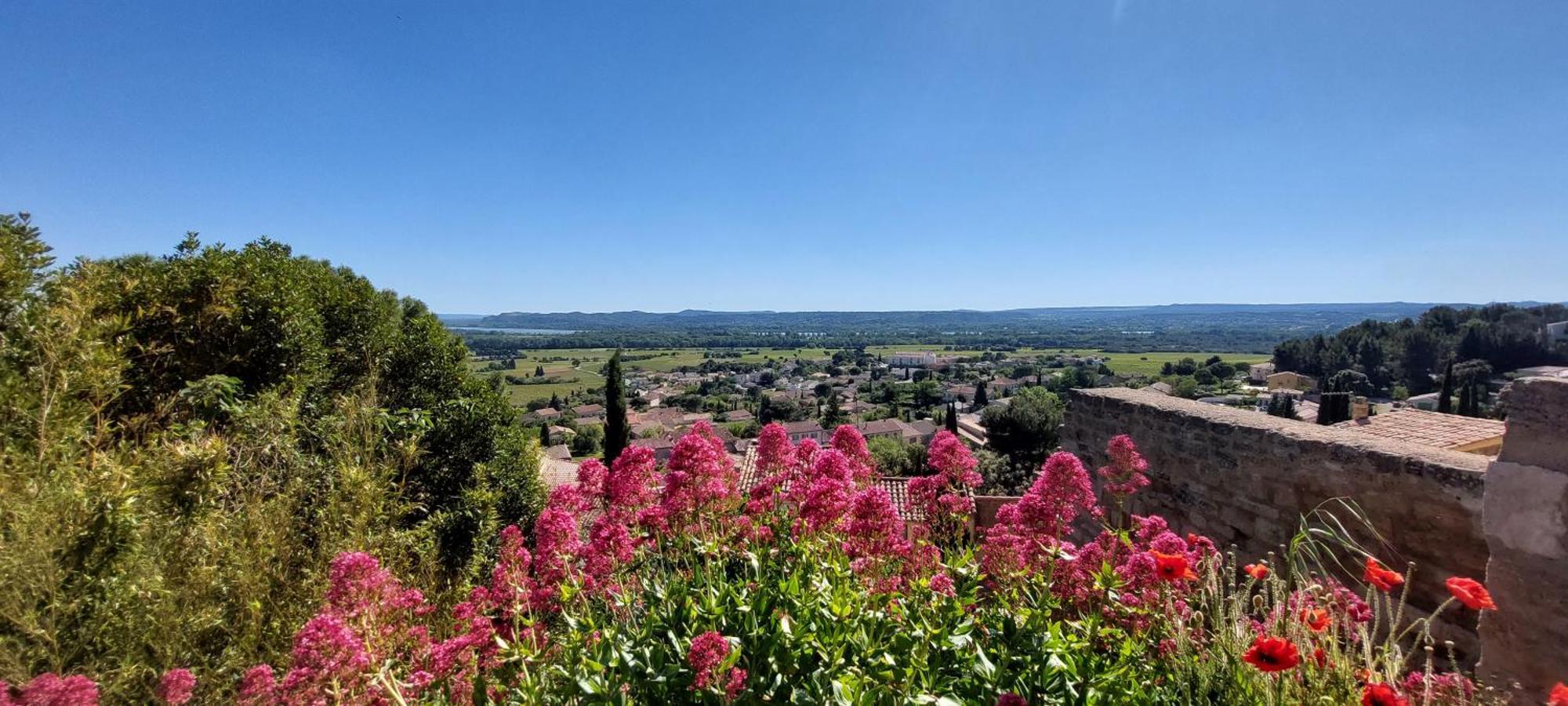 Gite De L'Olivier, Classe, Climatise, Jardin Avec Parking Gratuit Devant Le Logement Et A 5 Minutes Du Centre-Ville A Pied LʼIsle-sur-la-Sorgue Exterior foto